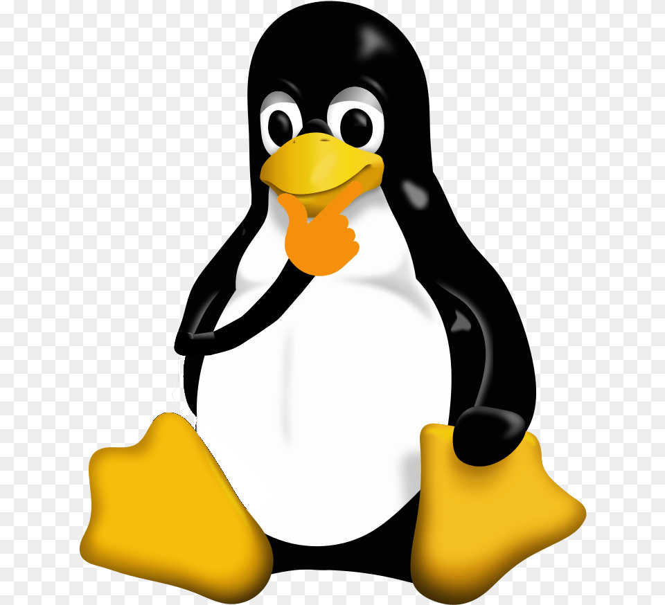 Transparent Thonk Linux Logo, Animal, Bird, Penguin Png