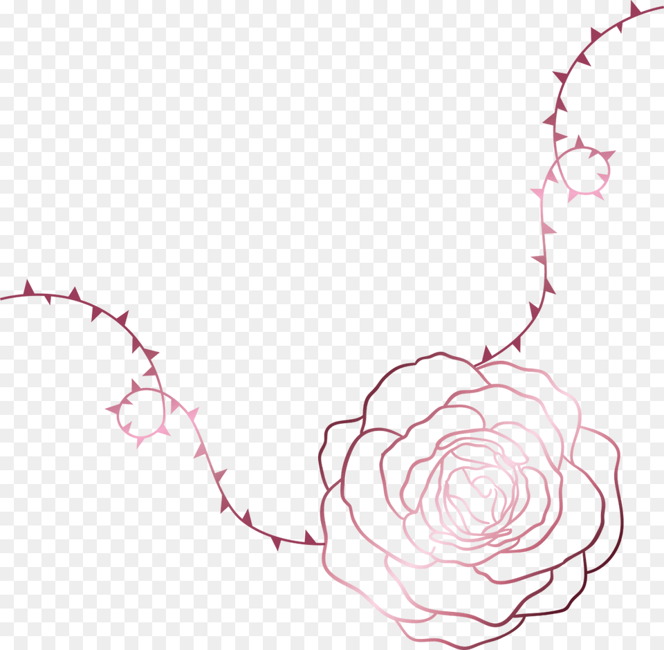 Transparent Thorns Roses With Thorns Clip Art, Flower, Pattern, Plant, Rose Png