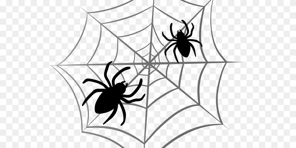Transparent Throwing Toys Clipart Spiders Clipart Black And White, Spider Web Free Png