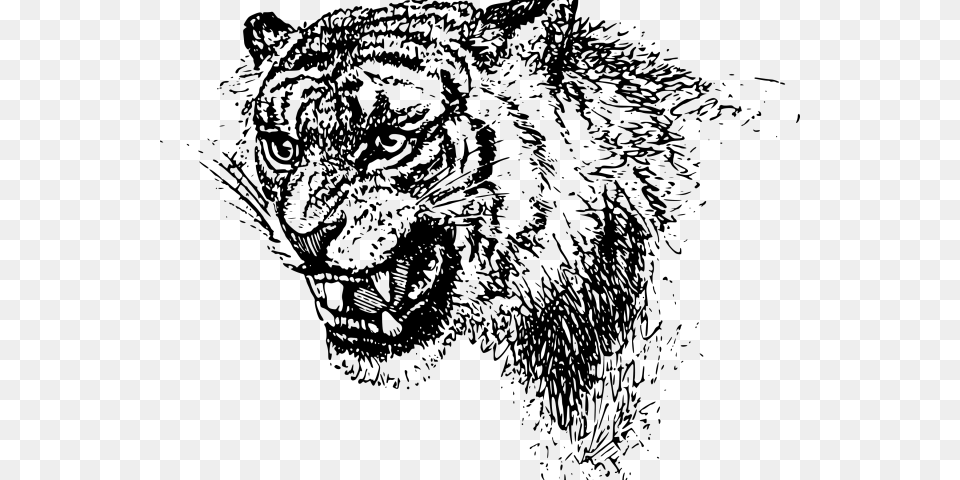 Transparent Tiger Clipart Black Clip Art Tiger, Gray Png Image