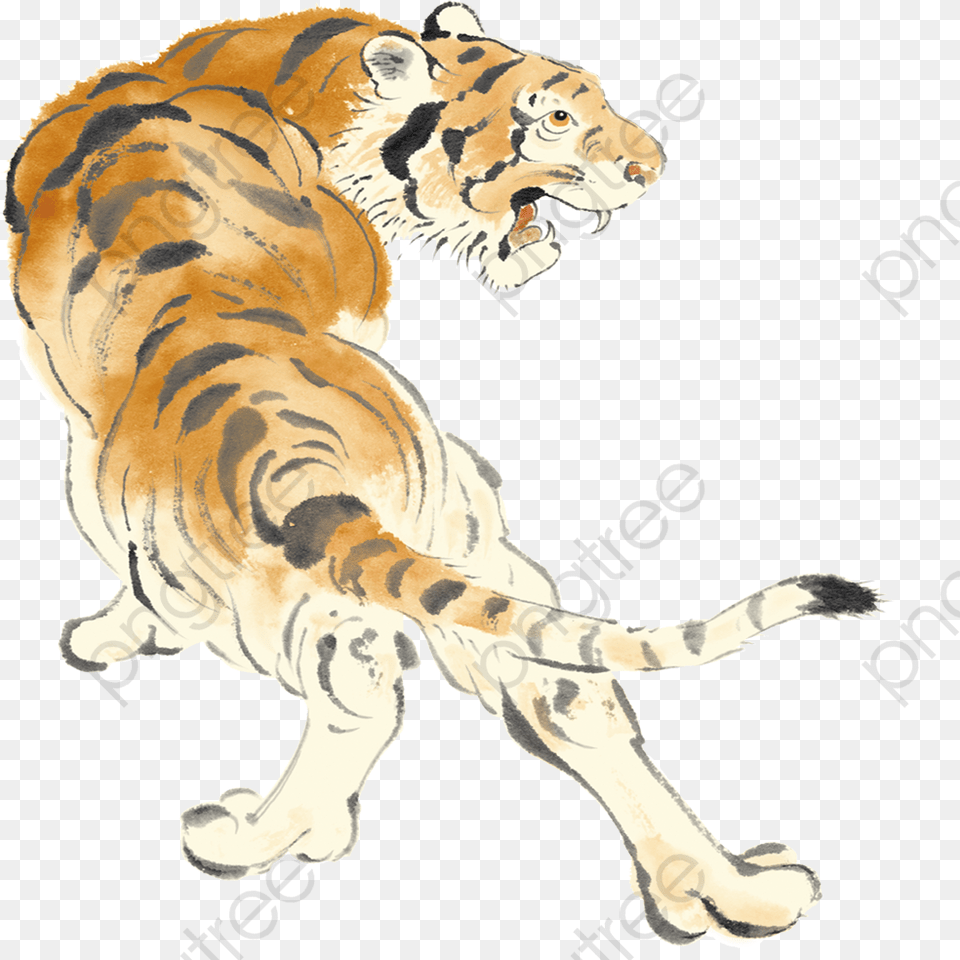 Transparent Tiger Clipart Clip Art, Animal, Mammal, Wildlife Free Png Download