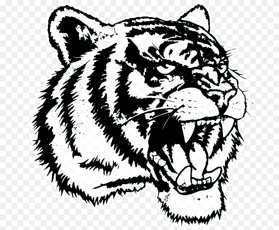 Transparent Tiger Dre The Detox Chroniclez Vol, Baby, Person, Animal, Mammal Free Png Download