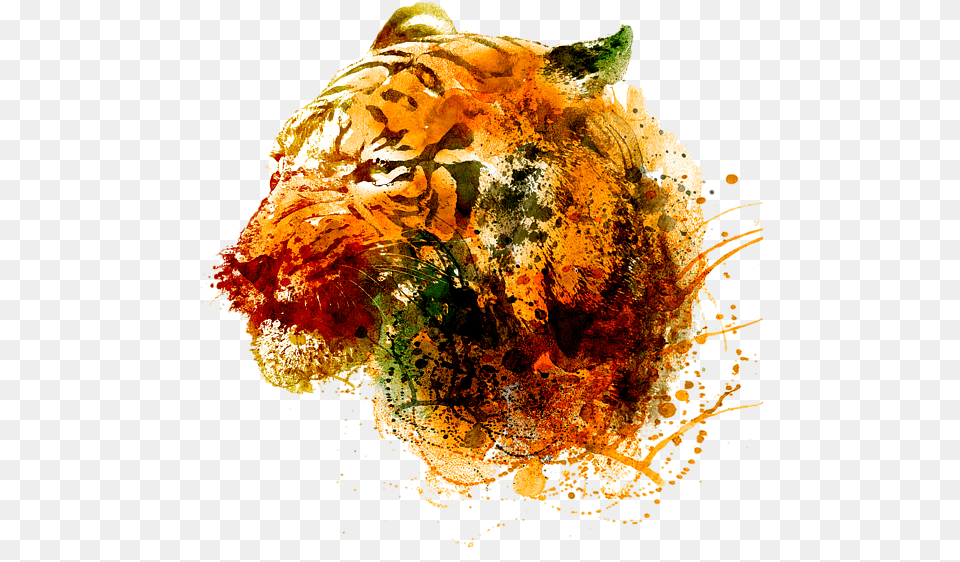 Transparent Tiger Face Towel, Art, Graphics Free Png Download