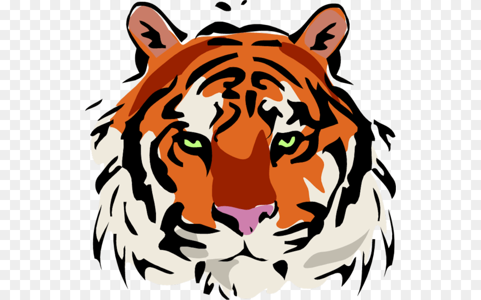 Transparent Tiger Head Monroe Elementary School Riverside, Animal, Baby, Mammal, Person Png