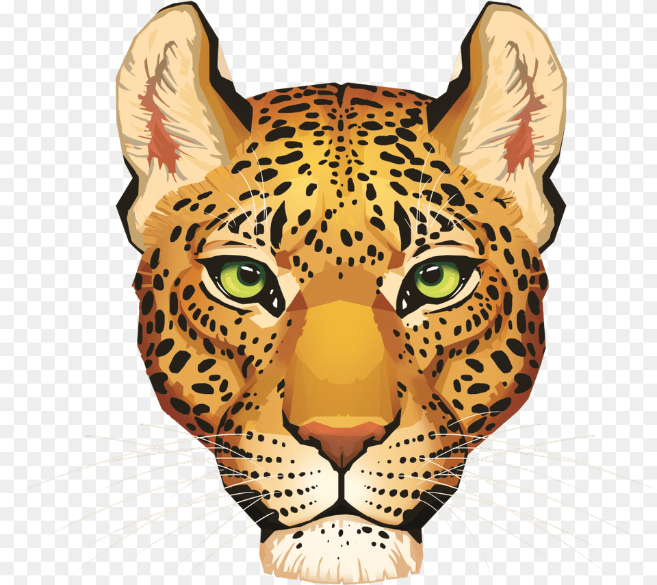 Transparent Tiger Head Tumblr, Animal, Mammal, Wildlife, Panther Png Image