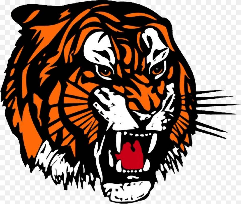 Transparent Tiger Mascot Clipart Medicine Hat Tigers Logo, Animal, Lion, Mammal, Wildlife Png