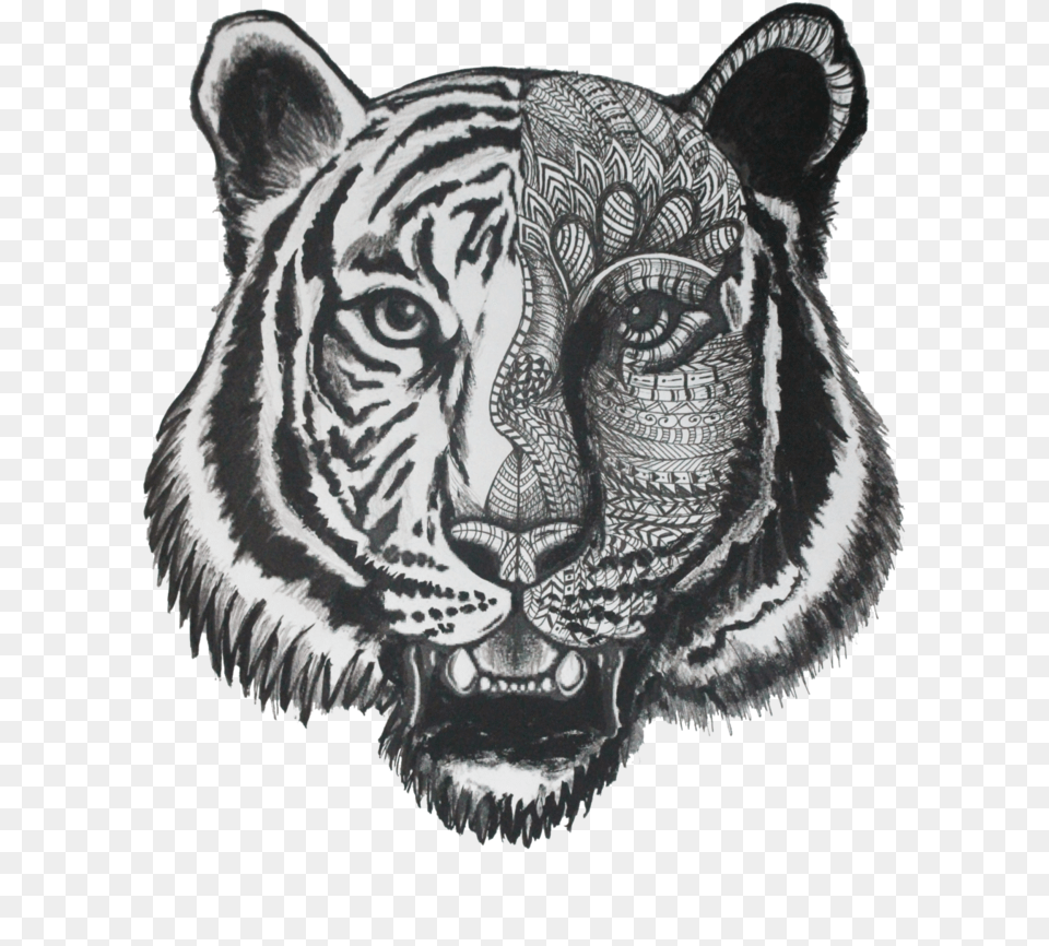 Transparent Tiger Pattern Sketch Of Tigers Face, Art, Drawing, Animal, Mammal Free Png