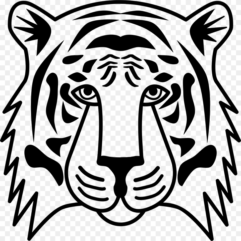 Transparent Tiger Scratch, Gray Png Image