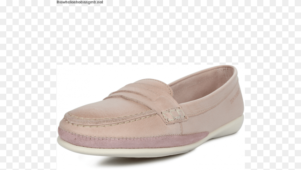 Tilde Slip On Shoe, Clothing, Footwear, Sneaker Free Transparent Png