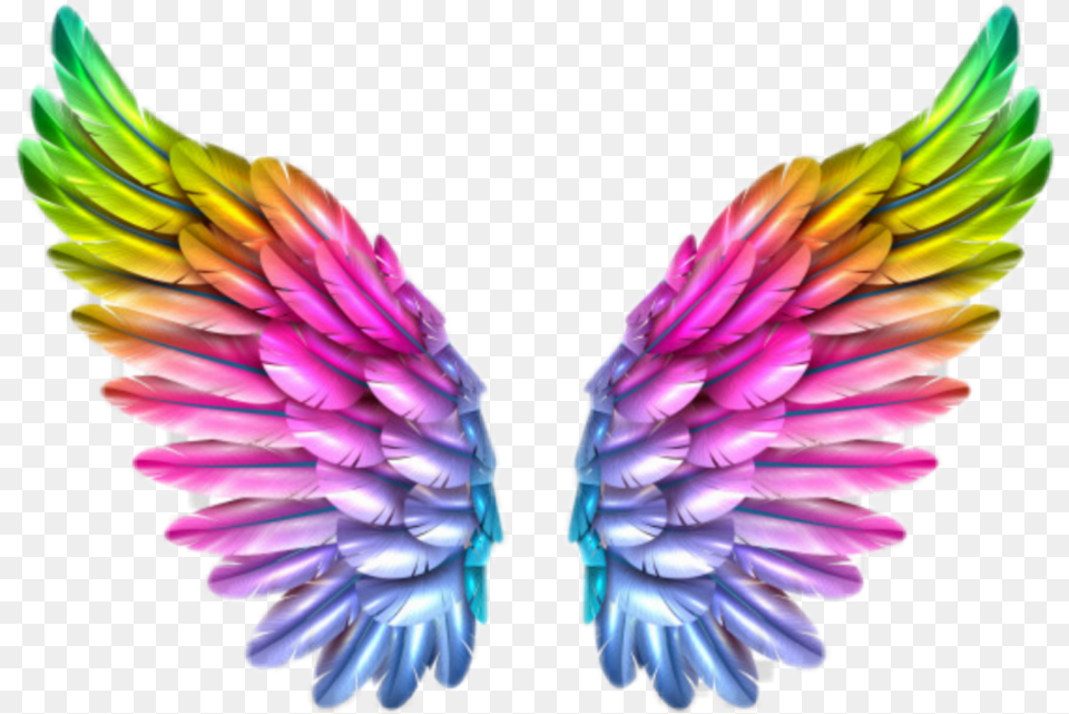 Transparent Tinkerbell Wings Colorful Angel Wings, Plant, Animal, Bird, Parrot Free Png