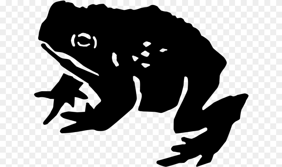 Toad Animal Bufo, Gray Free Transparent Png