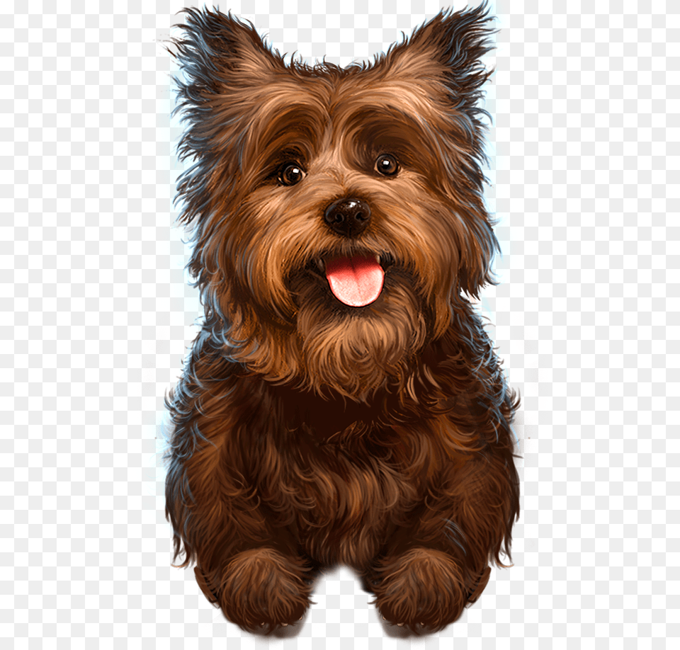 Transparent Toto Clipart, Animal, Canine, Dog, Mammal Free Png Download