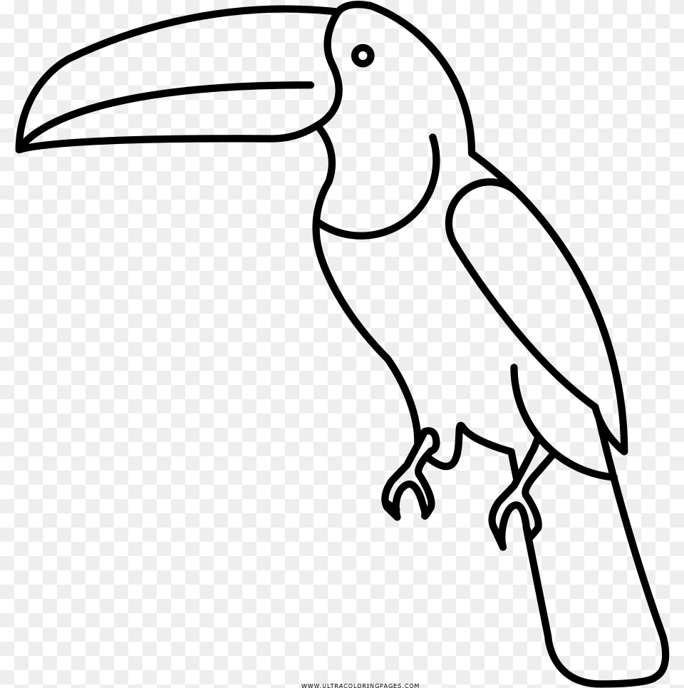 Transparent Toucan Clip Art Pico De Animal Para Colorear, Gray Free Png