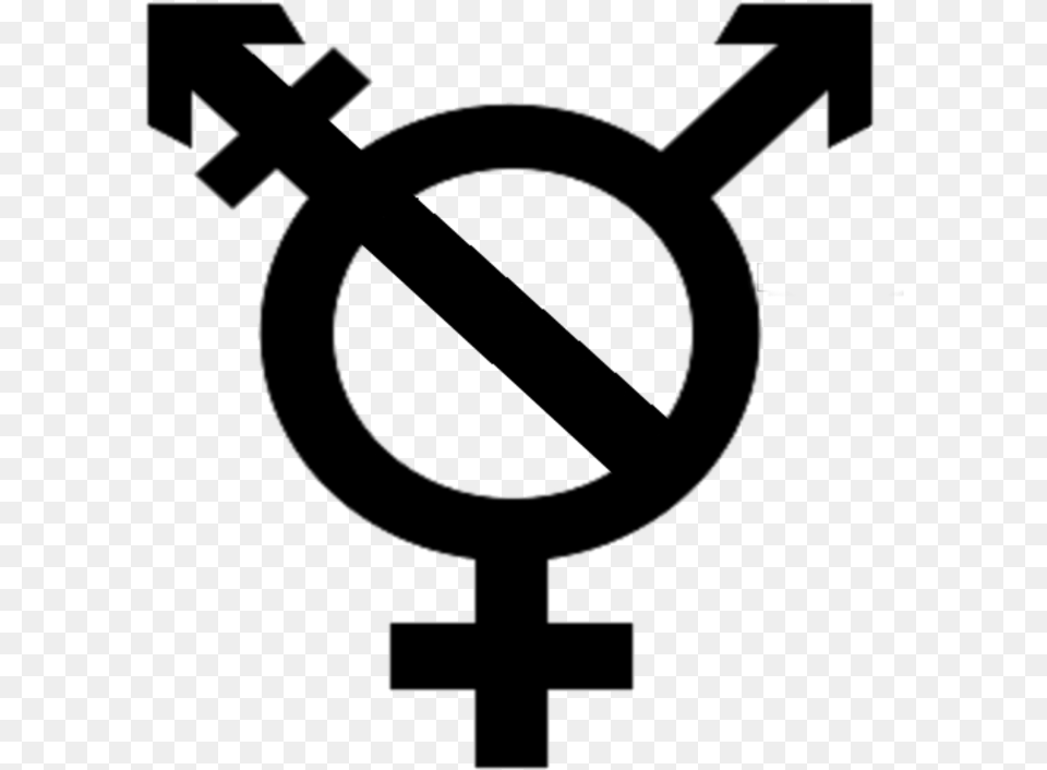 Transparent Trans Flag Transparent Transgender Symbol Png Image
