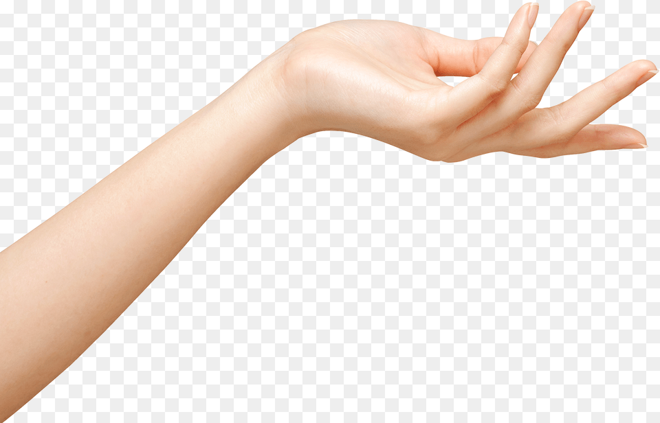 Transparent Transparent Hand Transparent Girls Hand, Body Part, Person, Wrist, Finger Png Image