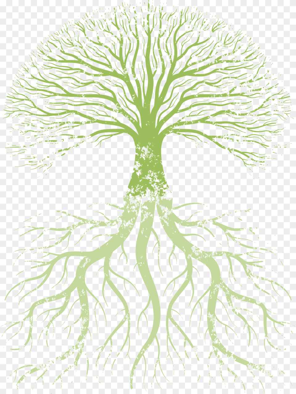 Transparent Tree Art, Plant, Root, Person Free Png