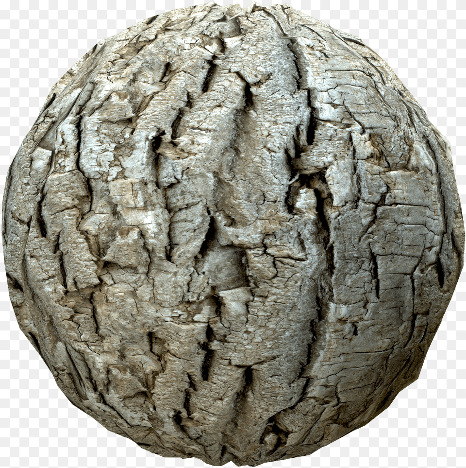 Tree Bark Texture Artifact, Plant, Tree Trunk, Rock, Face Free Transparent Png