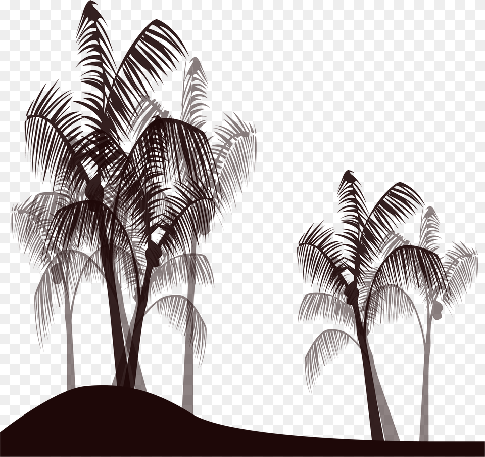 Transparent Tree Black Palmera Dibujo Blanco Y Negro, Palm Tree, Plant, Silhouette, Outdoors Png
