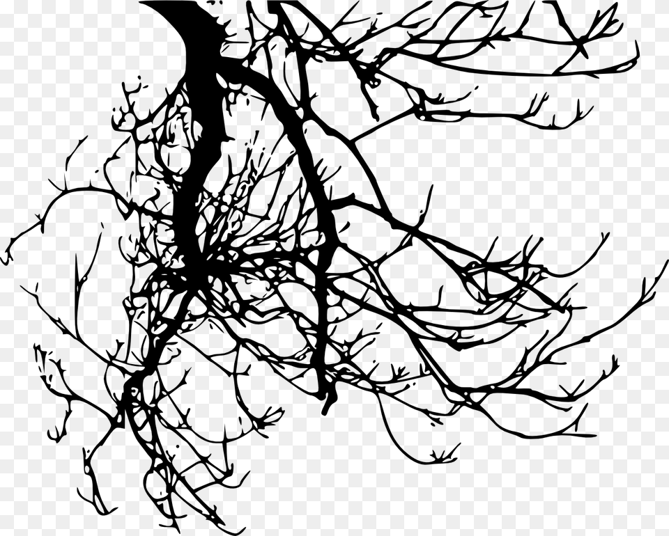 Tree Branch Clipart Black And White, Art, Silhouette, Drawing Free Transparent Png