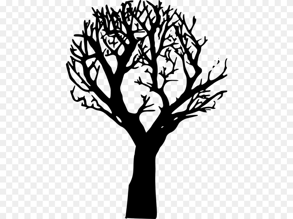 Transparent Tree Branch Vector Dying Tree Clipart, Gray Free Png