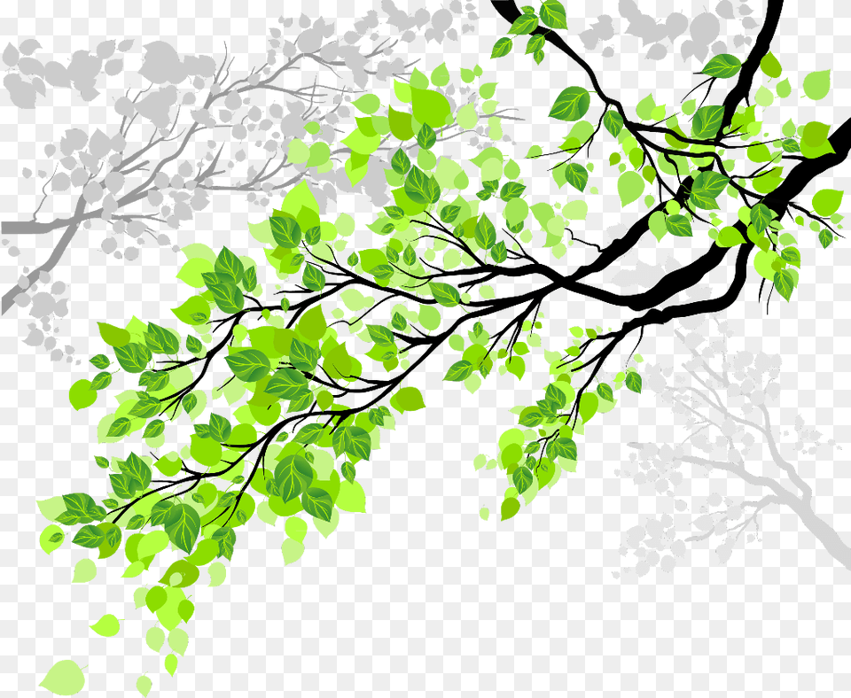 Transparent Tree Branch With Leaves Clipart Cool Tree Branches With Leaves, Art, Floral Design, Graphics, Green Free Png Download