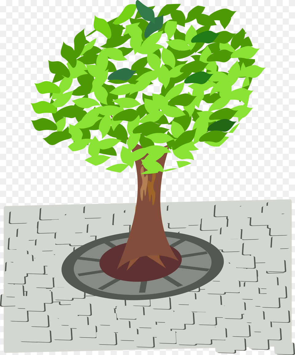 Transparent Tree Clip Art Tree In Street Clipart, Plant, Potted Plant, Vegetation, Path Free Png Download