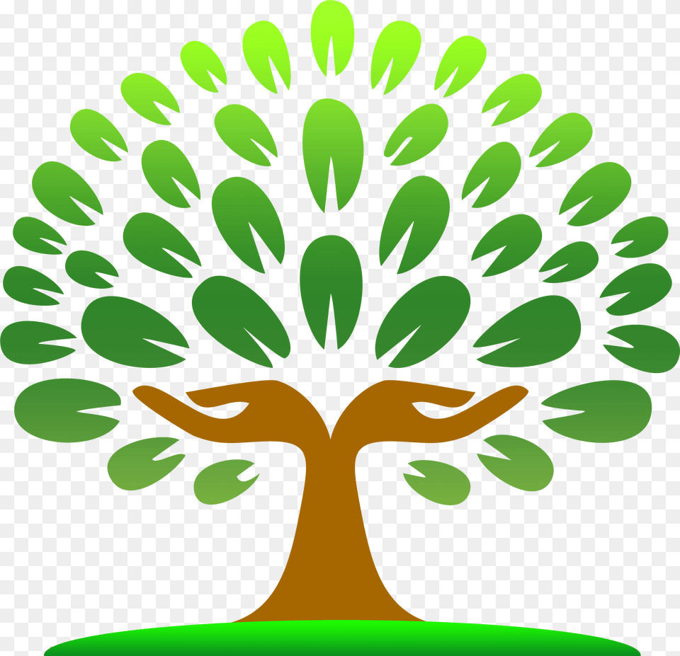 Transparent Tree Clipart, Green, Plant, Potted Plant, Art Free Png