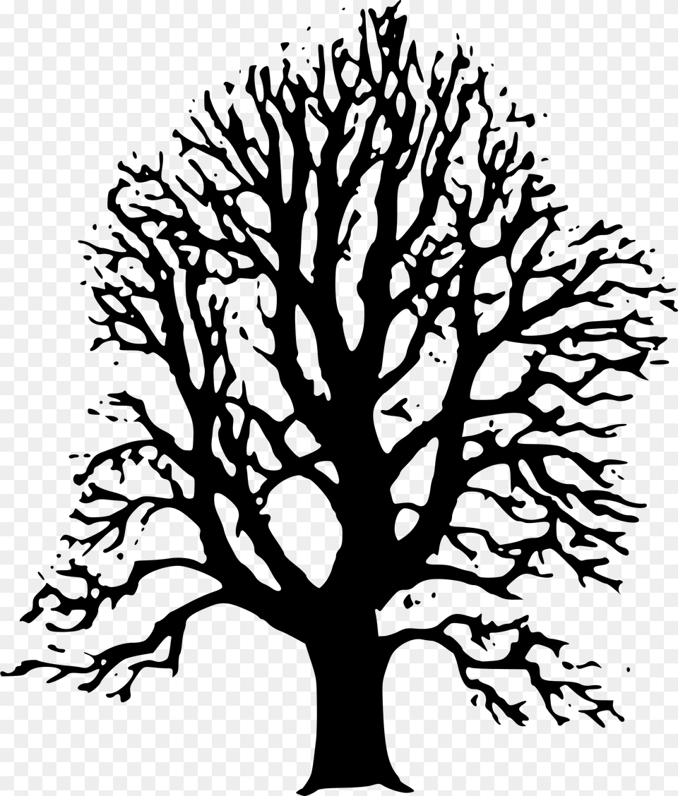 Transparent Tree Clipart Black And White Lime Tree Clip Art, Gray Free Png