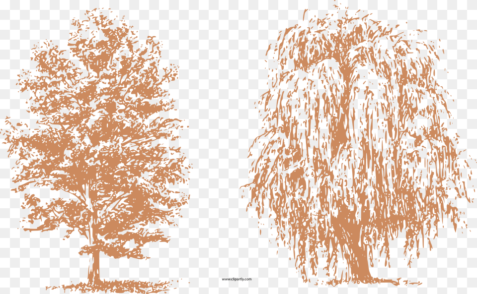 Transparent Tree Clipart Dibujos De Arboles Con Estilografo, Plant, Willow Free Png