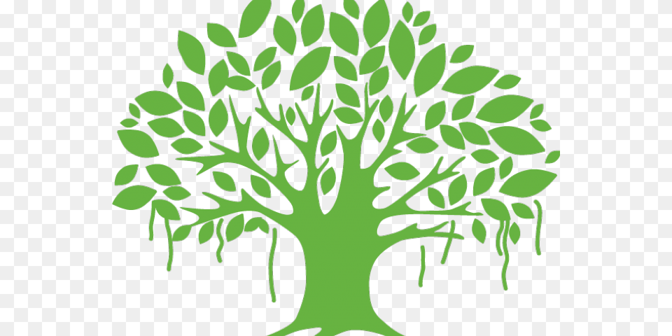 Transparent Tree Clipart Vector Banyan Tree, Green, Leaf, Pattern, Plant Png Image