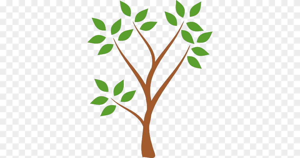 Transparent Tree Cliparts, Leaf, Plant, Art, Herbal Png Image