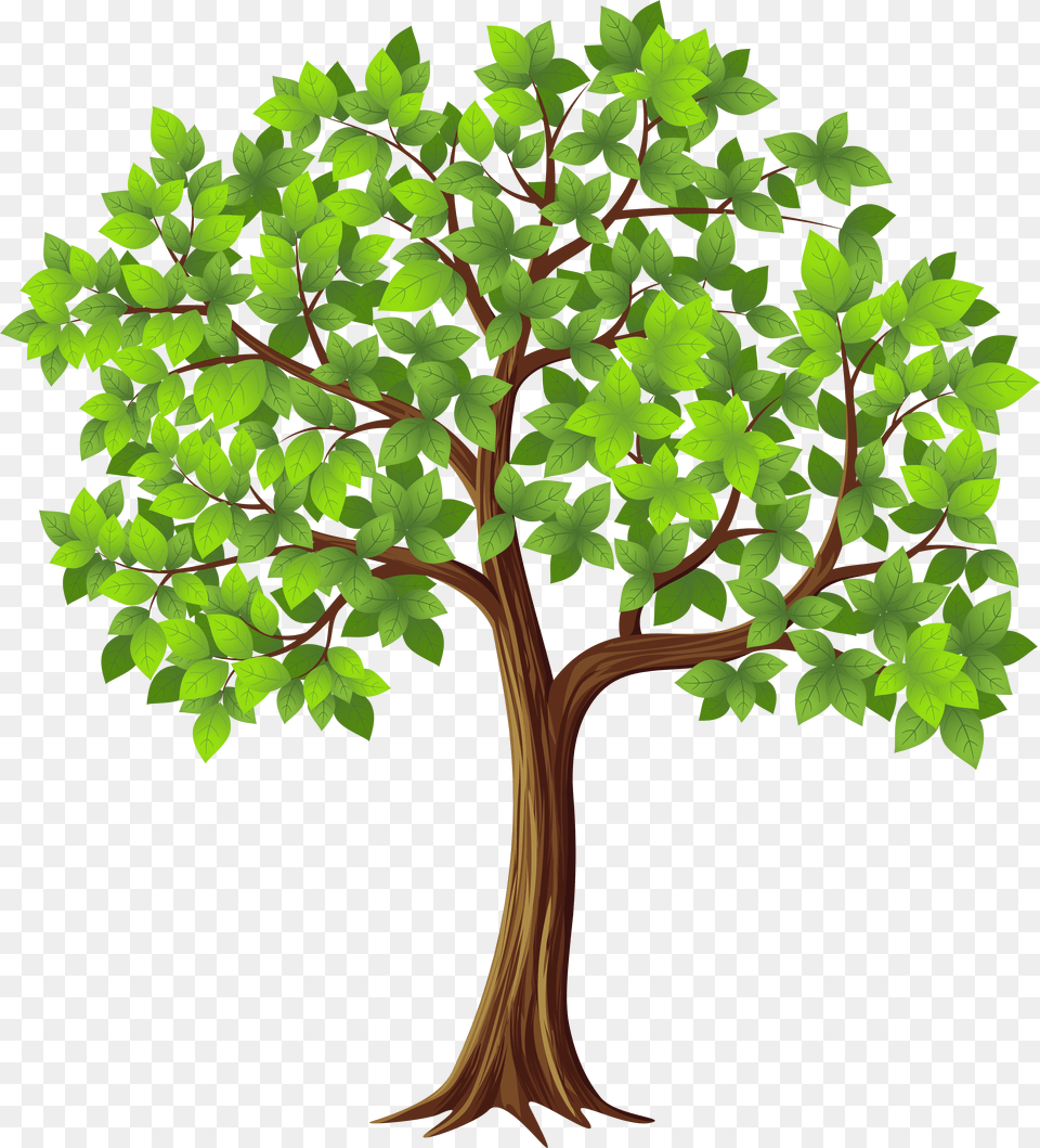 Transparent Tree Cliparts Clipart Transparent Tree Free Png Download