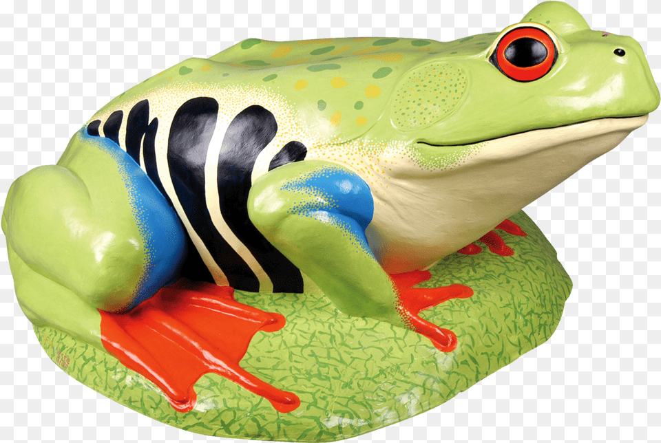 Tree Frog Lyagushka Gif, Amphibian, Animal, Wildlife, Tree Frog Free Transparent Png