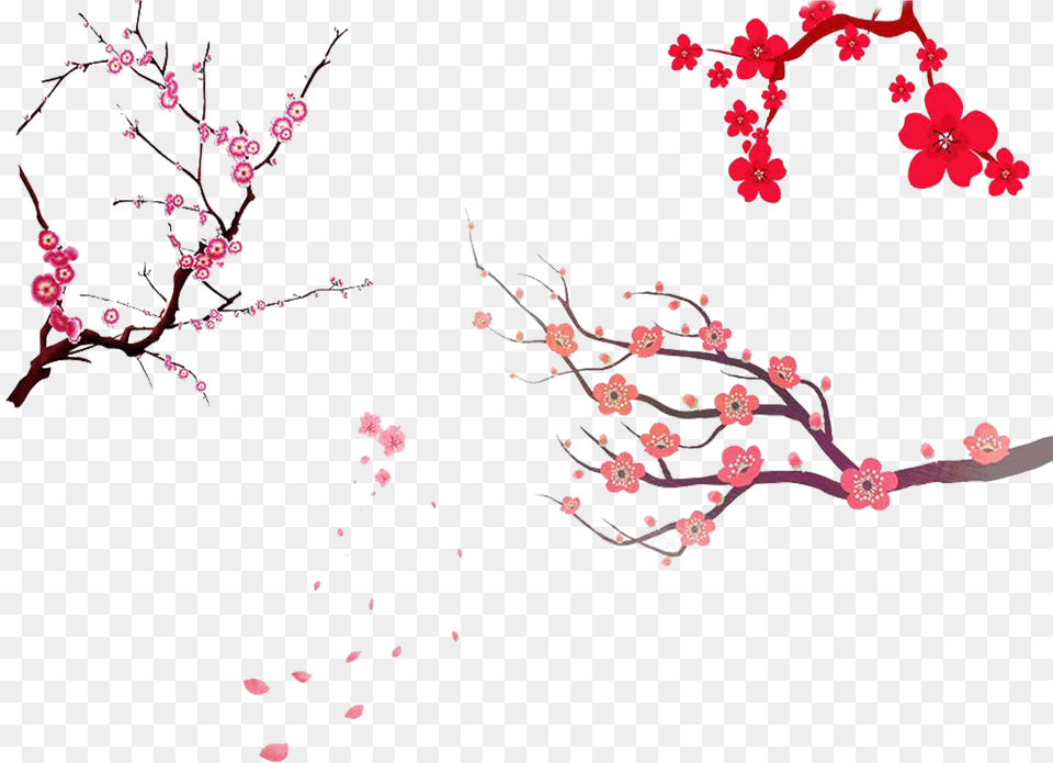 Transparent Tree Limb Simple Cherry Blossom Tree, Flower, Plant, Cherry Blossom Free Png Download