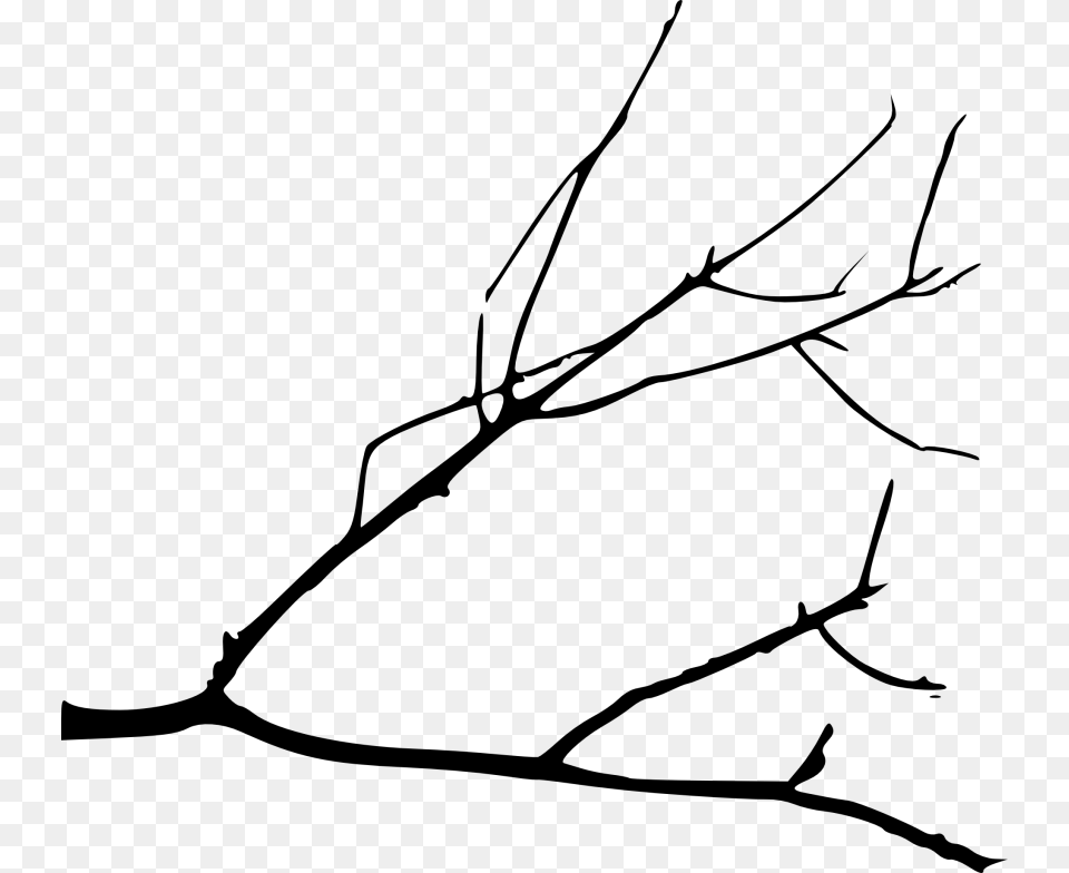 Transparent Tree Limb Tree Branches Drawing, Leaf, Plant, Bow, Weapon Png Image