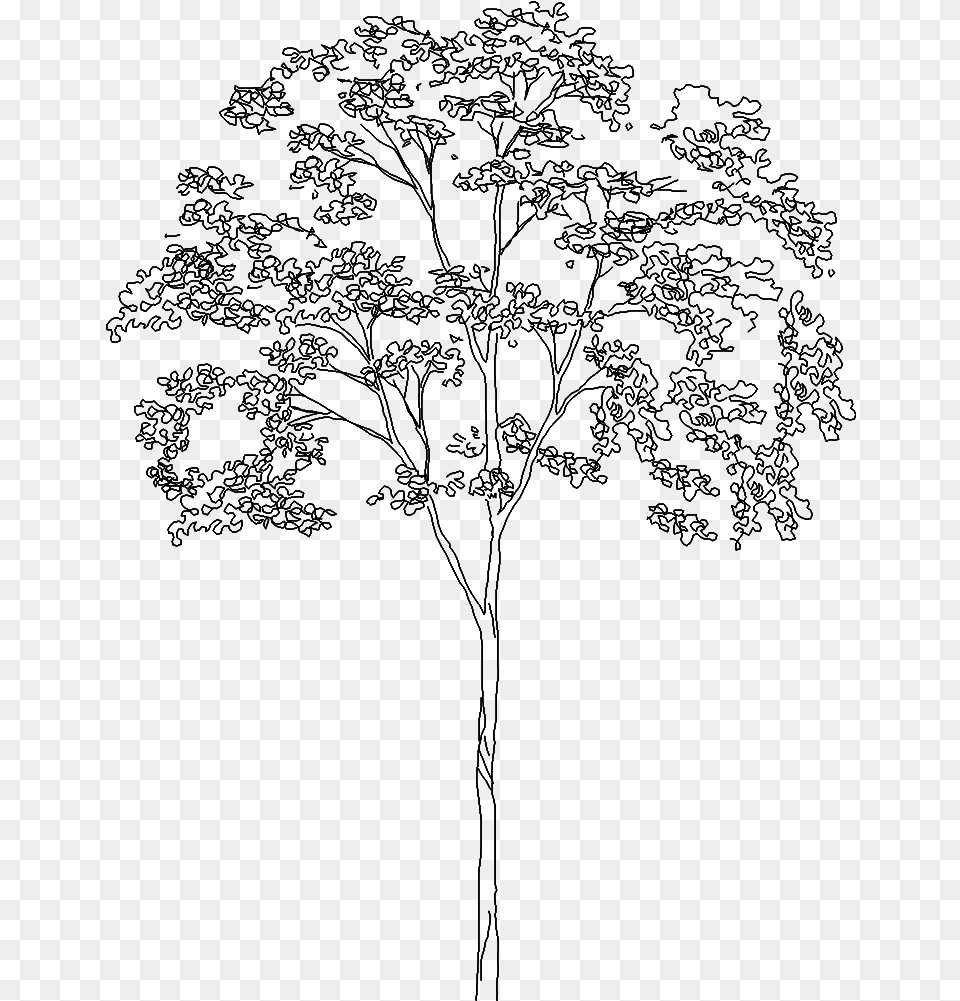 Transparent Tree Line Tree Line Drawing, Gray Free Png Download