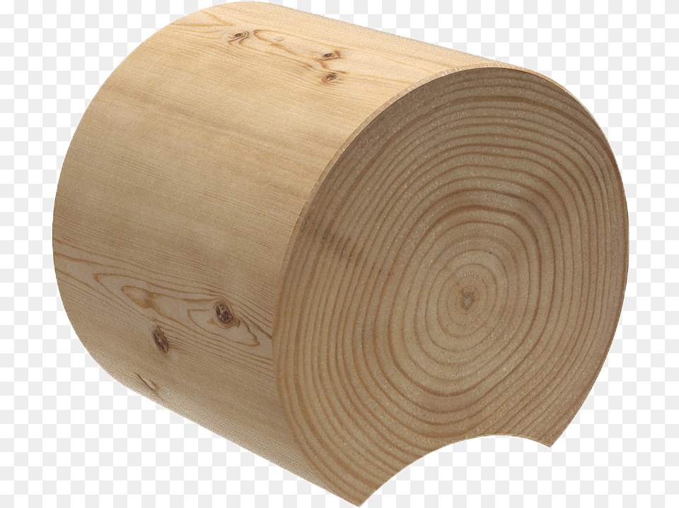 Tree Log Lumber, Plywood, Wood Free Transparent Png