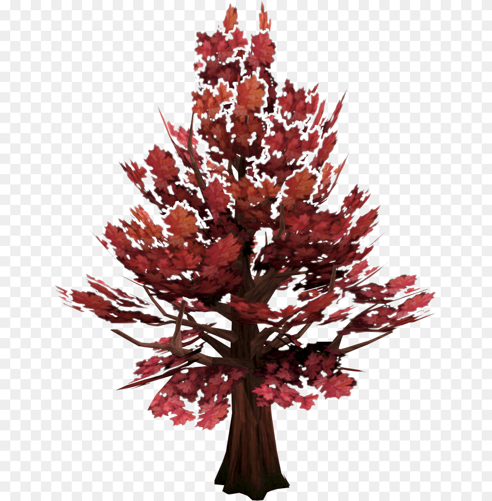 Transparent Tree Maple Maple Tree, Leaf, Plant, Flower, Flower Arrangement Free Png Download