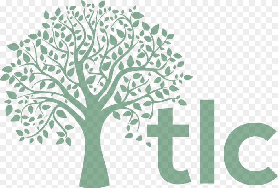 Transparent Tree Of Life, Oak, Plant, Green, Vegetation Png