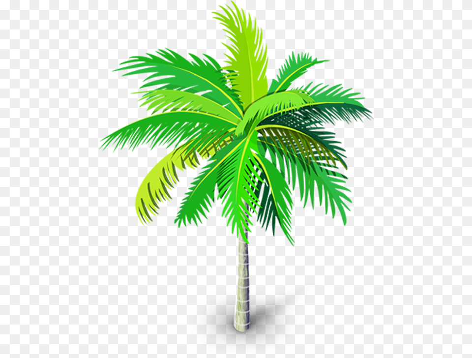 Tree Of Life Vector Background Palm Tree, Palm Tree, Plant, Leaf Free Transparent Png