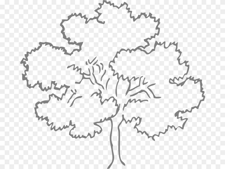 Transparent Tree Outline, Stencil, Pattern, Nature, Outdoors Free Png Download