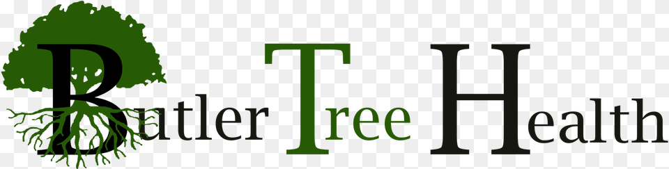 Transparent Tree Root, Green, Plant, Vegetation Png Image