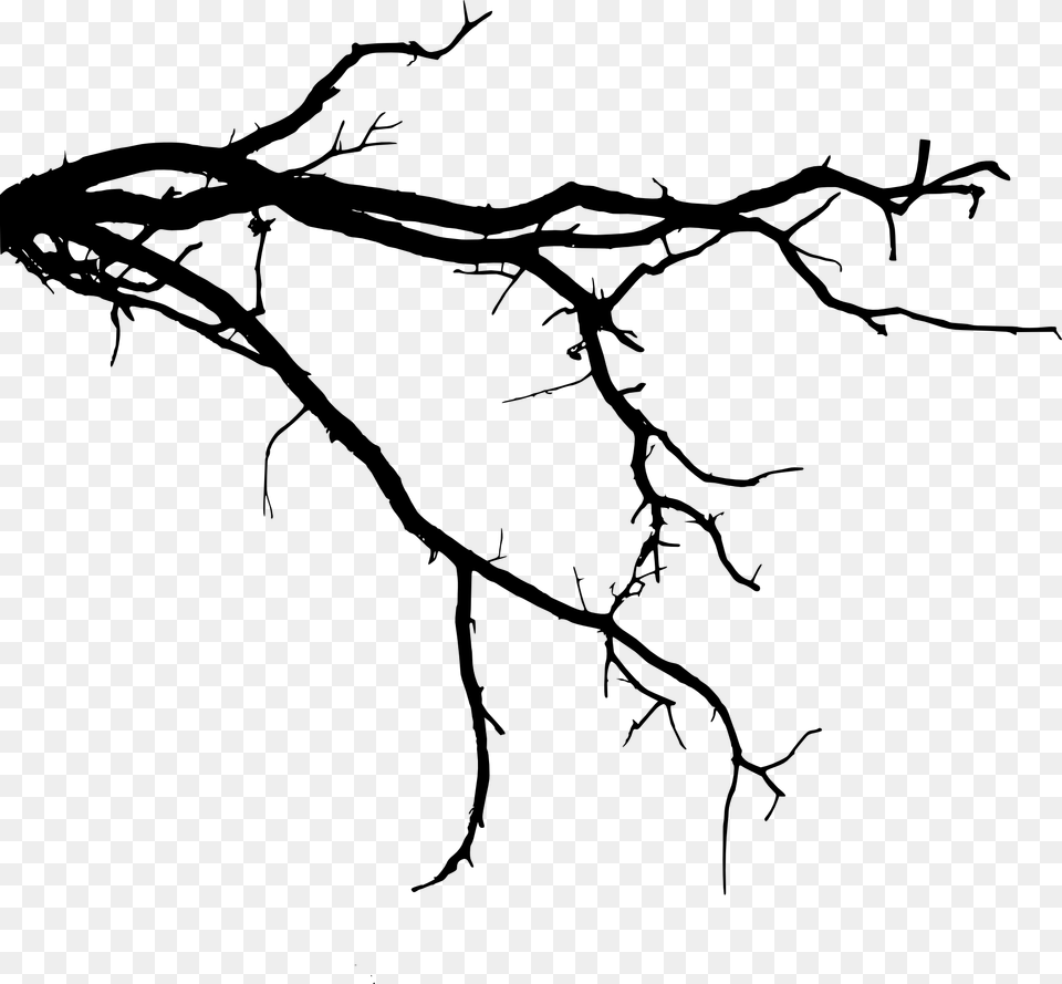 Transparent Tree Roots Clipart Tree Branch Silhouette, Art, Drawing Free Png Download