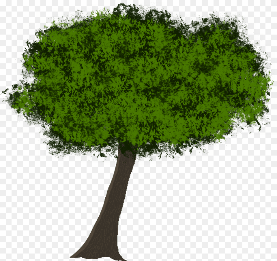 Transparent Tree Roots Silhouette Elm, Plant, Oak, Tree Trunk, Sycamore Free Png Download