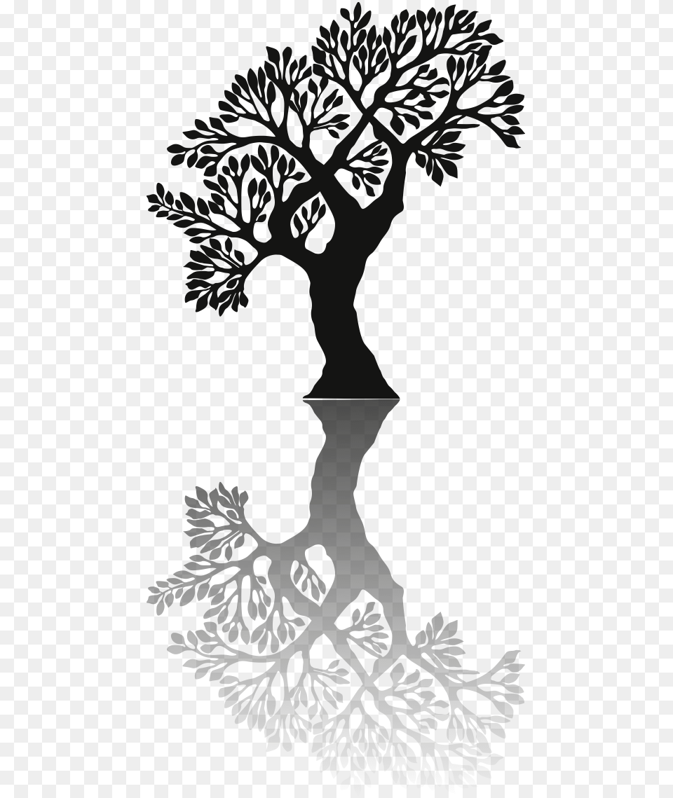 Tree Shadow Black Shadow Tree, Stencil, Art, Silhouette, Person Free Transparent Png