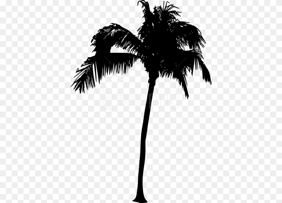 Tree Silhouette Vector Palm Tree, Palm Tree, Plant, Person Free Transparent Png