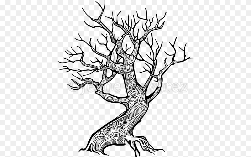 Transparent Tree Silhouette With Roots Old Pear Tree Drawing, Text Png