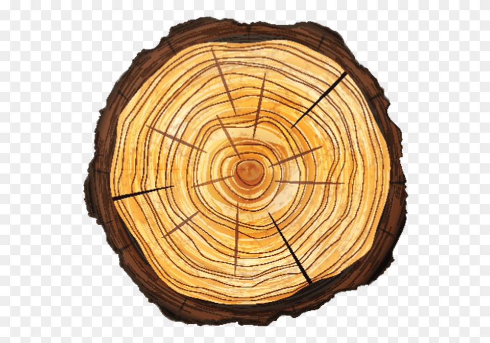 Transparent Tree Stump, Lumber, Plant, Wood, Tree Trunk Free Png Download