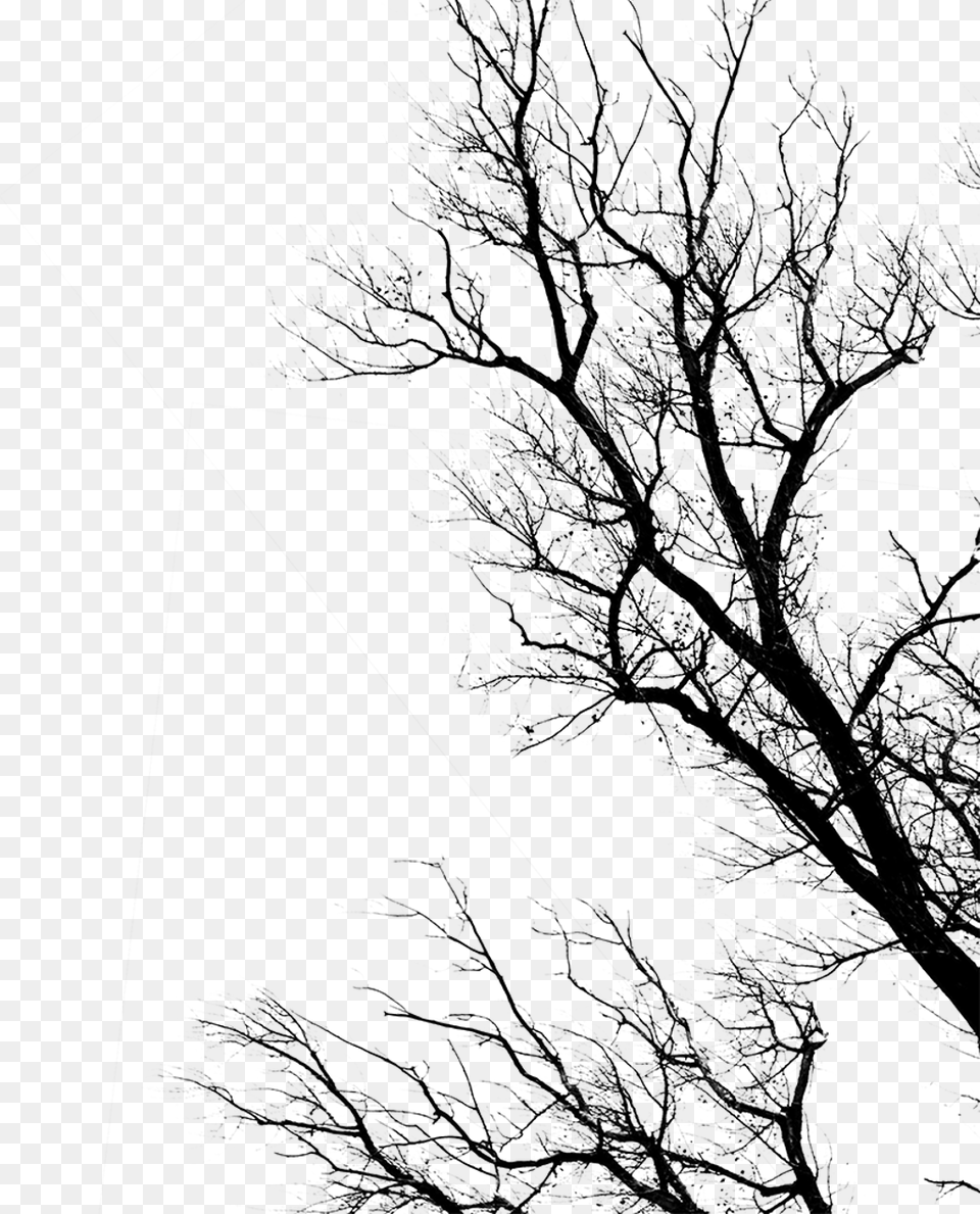 Transparent Tree Trunk Dead By Daylight Transparent, Gray Free Png Download