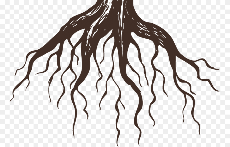 Tree With Roots Chinese Bamboo Tree Roots, Maroon, Texture Free Transparent Png